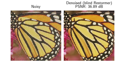 Noisy, Denoised (blind Restormer)  PSNR: 36.89 dB