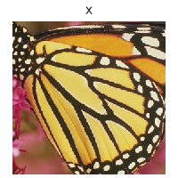 x