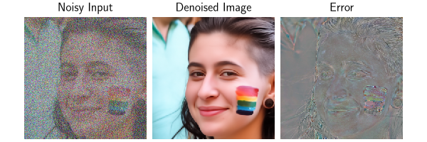 Noisy Input, Denoised Image, Error