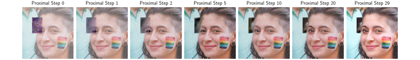 Proximal Step 0, Proximal Step 1, Proximal Step 2, Proximal Step 5, Proximal Step 10, Proximal Step 20, Proximal Step 29