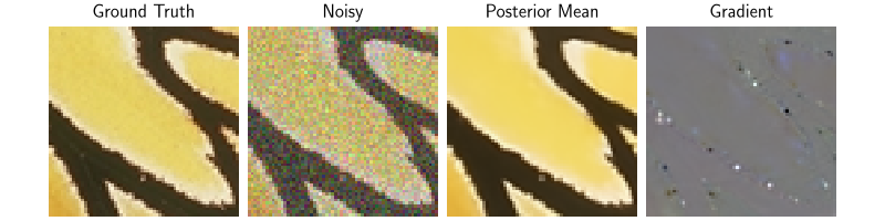 Ground Truth, Noisy, Posterior Mean, Gradient