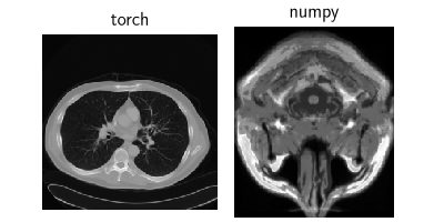 torch, numpy