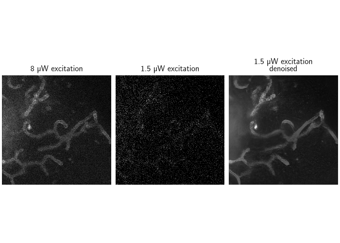 8 µW excitation, 1.5 µW excitation, 1.5 µW excitation denoised