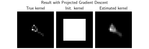 Result with Projected Gradient Descent, True kernel, Init. kernel, Estimated kernel