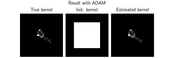 Result with ADAM, True kernel, Init. kernel, Estimated kernel