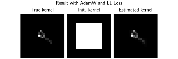 Result with AdamW and L1 Loss, True kernel, Init. kernel, Estimated kernel