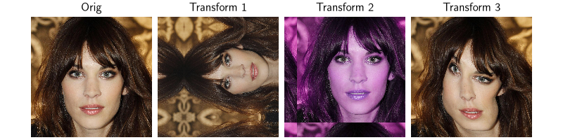 Orig, Transform 1, Transform 2, Transform 3