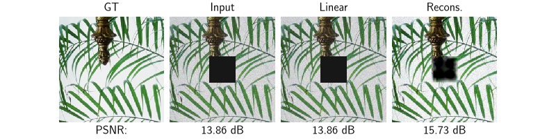 GT, Input, Linear, Recons.