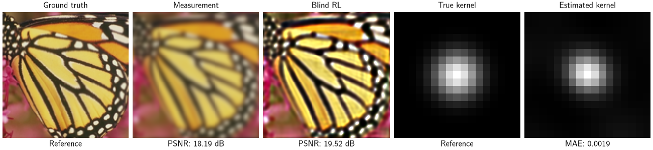 Ground truth, Measurement, Blind RL, True kernel, Estimated kernel