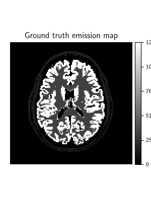 Ground truth emission map