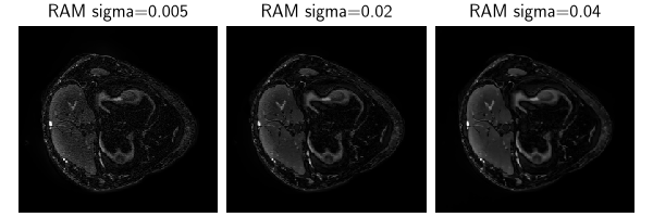 RAM sigma=0.005, RAM sigma=0.02, RAM sigma=0.04