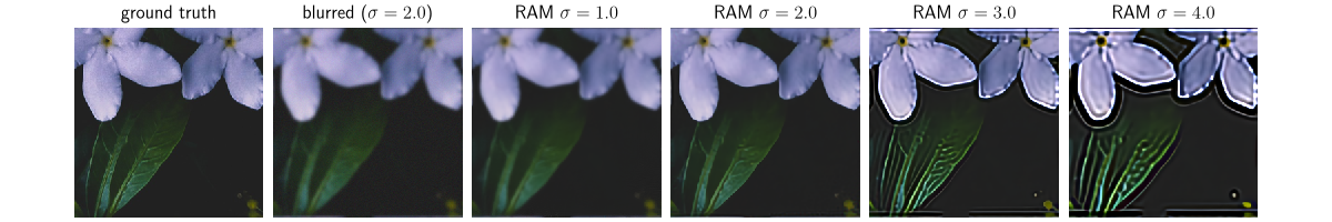 ground truth, blurred ($\sigma=2.0$), RAM $\sigma=1.0$, RAM $\sigma=2.0$, RAM $\sigma=3.0$, RAM $\sigma=4.0$